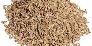 Cumin Seeds