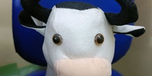 Cow Soft Toys