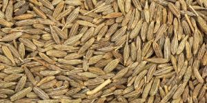 Cumin Seeds