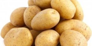 Badshah Potato