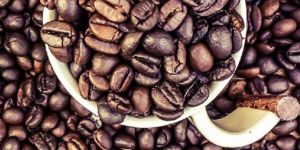 Coffee Beans