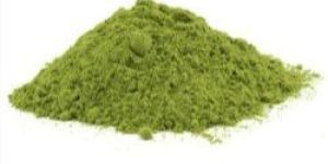 Moringa Powder