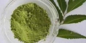 Neem Powder