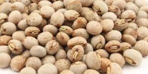 Pigeon Peas