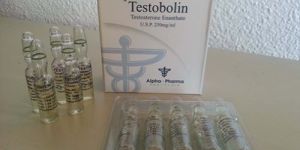 Testosterone Enanthate Testobolin Injections