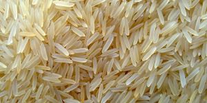 Golden Non Basmati Rice