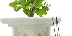Marble Tulsi Pot