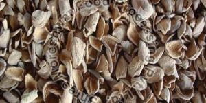 Groundnut Shell
