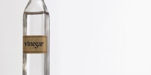 Vinegar