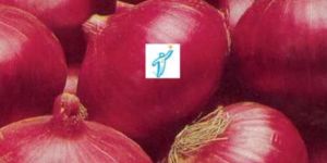 Agriculture Seeds