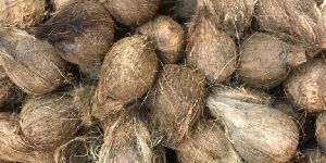 Husked Coconut