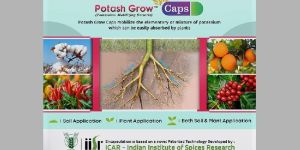 Potash Grow Biofertilizer Capsules
