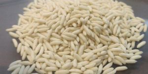 Fortified Rice Kernel