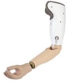 Elbow Prosthesis