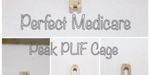 Peek PLIF Cage