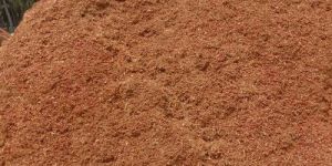 Coco Peat Powder