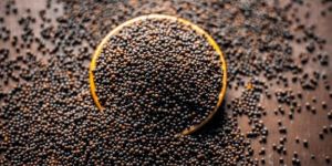 Mustard Seeds