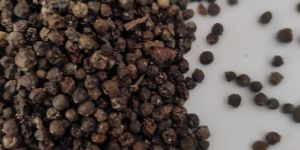 Black Pepper