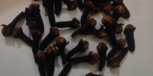 Clove Seeds