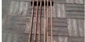 Bamboo Cane