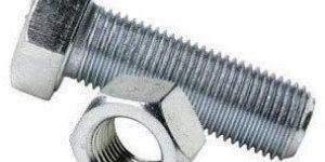 MS Bolt Nut