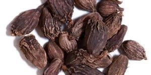 Black Cardamom