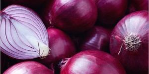 Fresh Red Onion