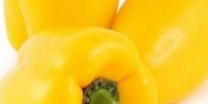 Yellow Capsicum