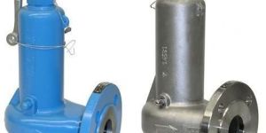 Thermal Relief Valve