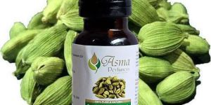 Cardamom Oleoresin