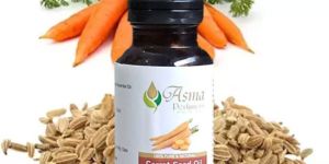 Carrot Seed Oil
