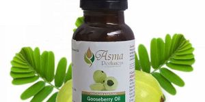 Gooseberry Pure Fragrances Oil