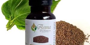 Perilla Seed Carrier Oil