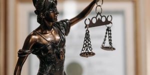 Litigation Support Services