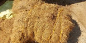 Coir Fiber