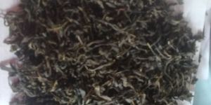 Darjeeling Green Tea