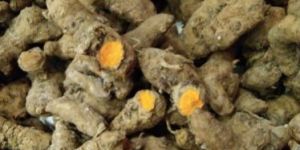 Raw Organic Turmeric