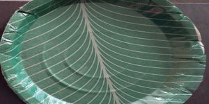 Tiffin Paper Plate