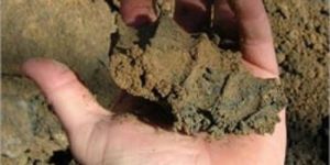Soil Testing Service