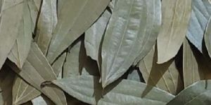 Dried Bay Leaves