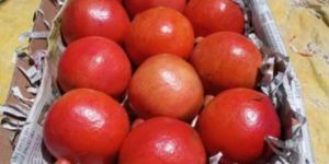 Fresh Pomegranate