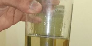 Permethrin 98% TC liquid