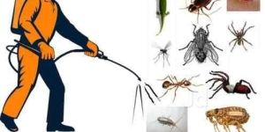 Pest Control Services in Kolkata
