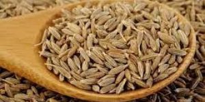 Cumin Seed