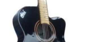 Semi Electric Guitar
