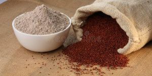 Ragi Flour