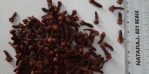 Dried Cloves