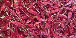 Guntur Natural Dried Red Chilli