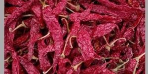 Syngenta Dried Red Chilli