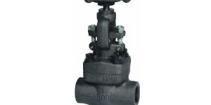 Forged Steel Gate Valve